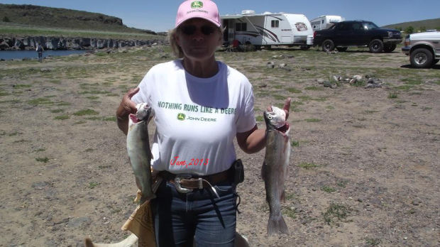 Fish